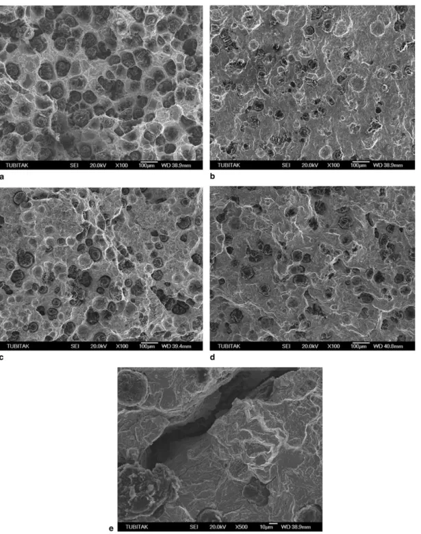 Fig. 11. (a) SEM fractographs of cast-ductile iron fatigue specimen. (b) SEM fractographs of austempered fatigue specimen at 230 C for 60 min