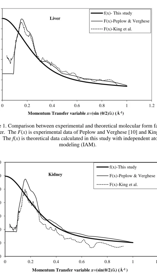 Figure 1. Comparison between experimental and theoretical molecular form factors  for liver
