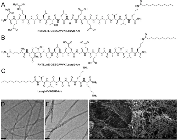 Fig. 1 Chemical structures and imaging of self-assembling peptide amphiphile molecules at pH 7.4