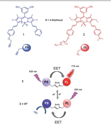 Fig. 2 Absorbance spectra of equal concentrations (2 mM) of the photosensitizer (PS, 1) and the ﬂuorophore (FL, 2) modules in the presence (dashed curves) and absence (solid curves) of added TFA in chloroform.