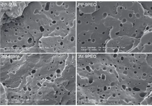 Figure 7. SEM images of cryo-fractured and etched surfaces of PP blends and ternary nanocomposites.