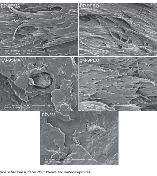 Figure 8. SEM images of tensile fracture surfaces of PP blends and nanocomposites.