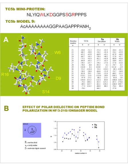 Fig 6. Effect of a polar dielectric on peptide bond polarization in a model of TC5b mini-protein
