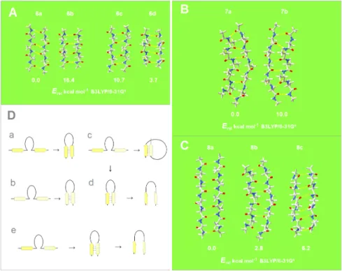 Fig 2. Conformational diversity in the binary complexes of extended oligopeptide strands.