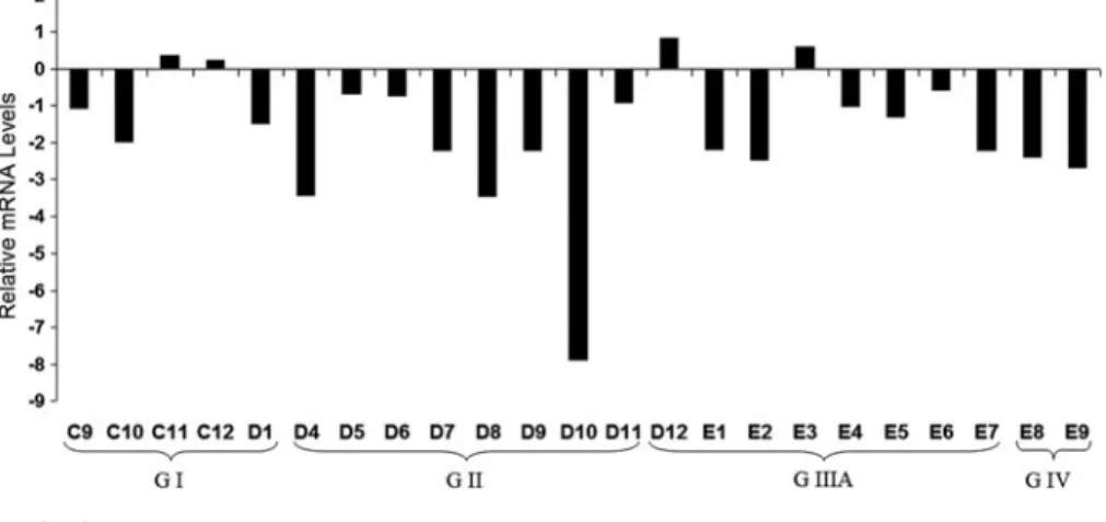 1, Fig. 2). The Sanger CONAN (Copy Number Analysis) database showed the same exonic deletion in SNU475 cell line, but among the 14 HCC cell lines that we analyzed, seven cell lines (Mahlavu, SNU398, Focus, SNU182, Hep40, HepG2, and Hep3B) are absent in thi