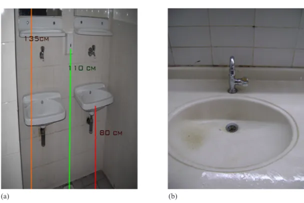 Figure 7. [In colour online.] Two examples of toilets with safety issues.