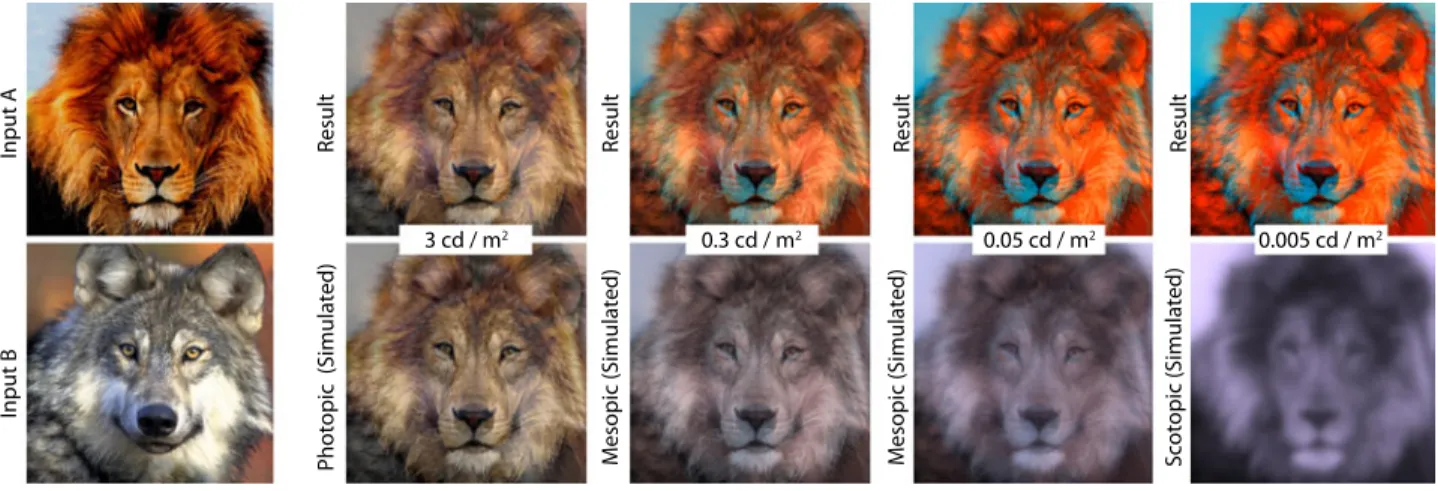 Figure 4: Purkinje images of two inputs (left) for mesopic conditions of different adaptation luminance (right).