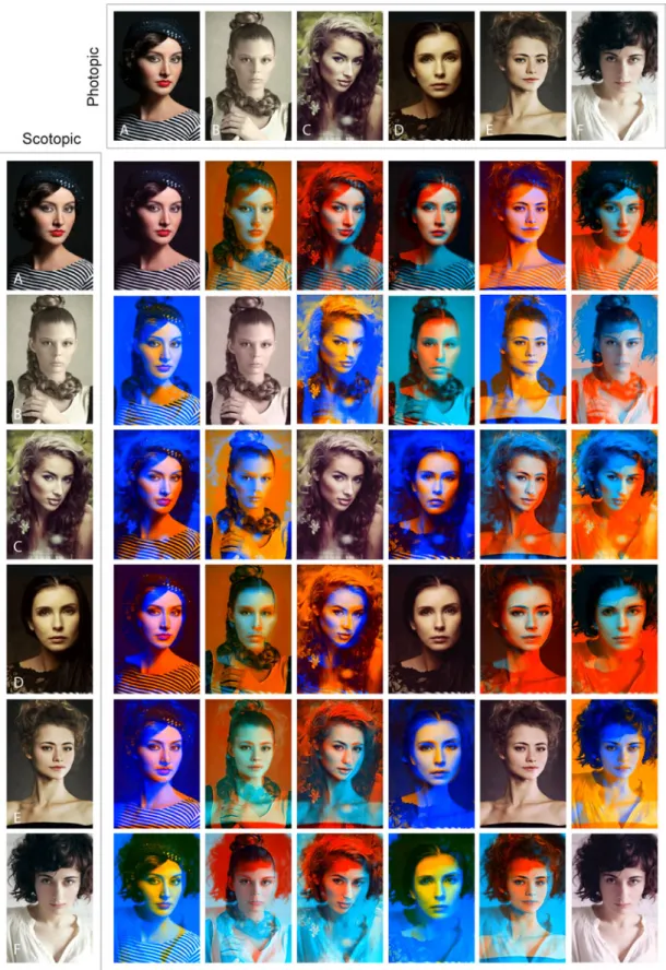 Figure 9: The matrix of female faces used in the perceptual experiment. Photos: (a) Antonio Serebryakov; (b) Grigoriy Shipakov; (c) Alina Troeva; (d) Grafik, www.grafikfoto.ru; (e) Dmitriy Ragin and (f) Lyudmila Vilchevskaya.
