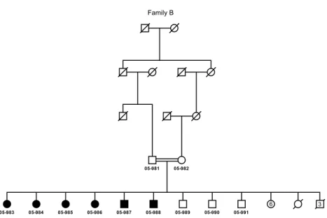 Figure 1.1: Pedigree of family B. Six of the 19 children of a rst cousin marriage are aected by CAMRQ2.