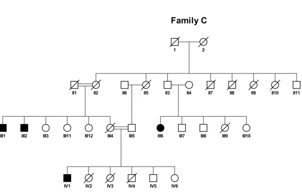 Figure 1.4: Pedigree of family C.