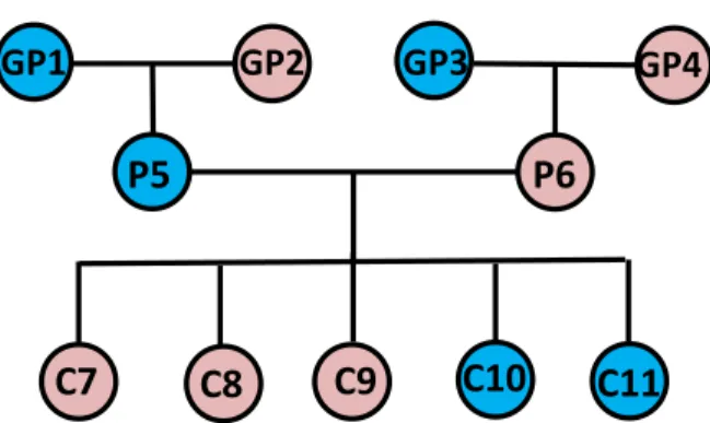 Figure 3.3: Family tree of CEPH/Utah Pedigree 1463 consisting of the 11 family members that were considered