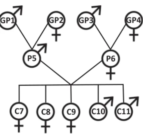 Fig. 6. Family tree of CEPH/Utah Pedigree 1463 consisting of the 11 family members that were considered.