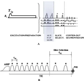 Figure 10. (A) B eff frame. (B) B ′ eff frame. (C) Precession of the magnetization vector M around the resultant magnetic field in the doubly rotating frame.