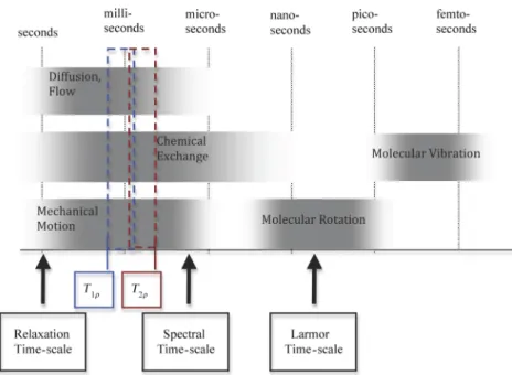 Figure 1. Typical motional time-scales for physical processes in a rotating frame MRI experiment