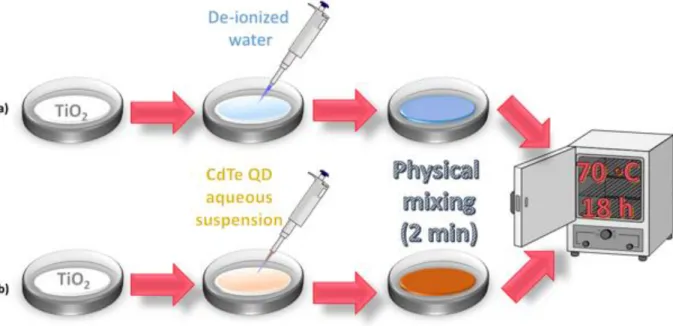 Figure  22.  Stepwise  preparation  of  a)  H 2 O/TiO 2   control  material  and  b)  CdTe/TiO 2