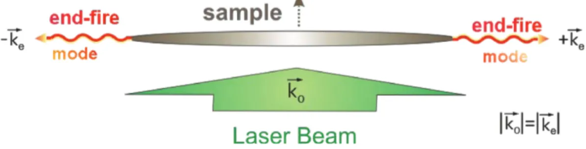 Figure 2.4: (Color online) The strong directional scattering of Superradiant pulse from an elongated sample