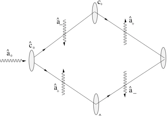 Figure 2.7: Schematic description of the roles of pump mode (ˆ a 0 ), end-fire mode (ˆa ± ), and side mode (ˆc 0 ,ˆc ± , and ˆc 2 ) annihilation/creation operators.
