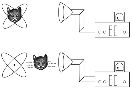 Figure 3. Transmission of information from atom to detector as propagation of the grin of a Cheshire cat