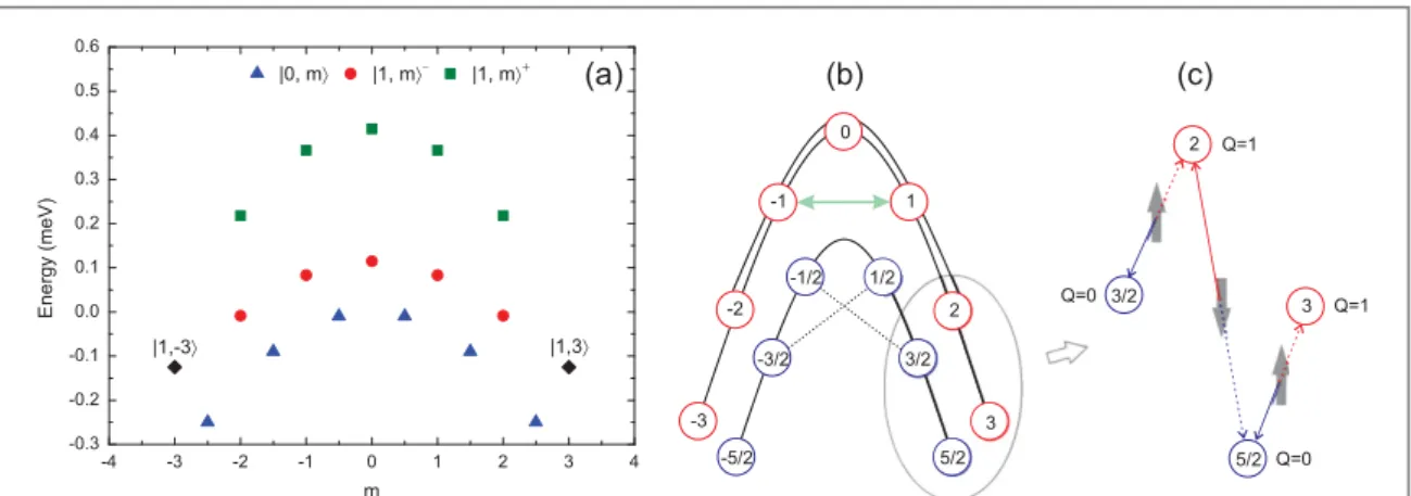 Figure 2. (a) The energy levels for a SMM of spin S = 5 2 as function of the total magnetic quantum number m