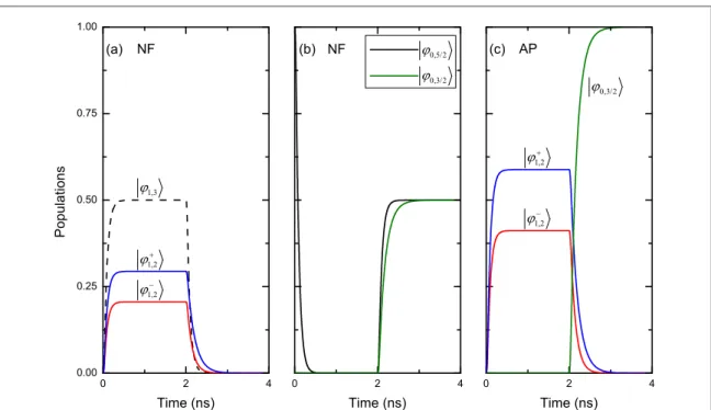 Figure 3. The evolution of the relevant populations along the ﬁrst turnstile cycle for NF an AP conﬁgurations