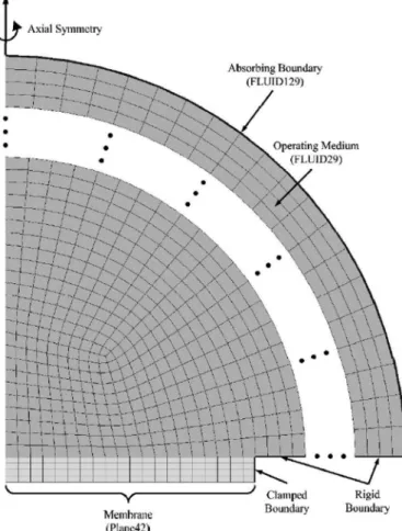 Fig. 1. Finite element (FE) model of a cMUT cell with the operating  medium.