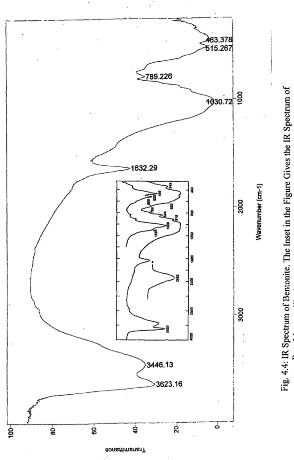 Fig. 4.4; IR Spectrum of Bentonite. The Inset in the Figure Gives the IR Spectrum of Pure Montmorillonite 63