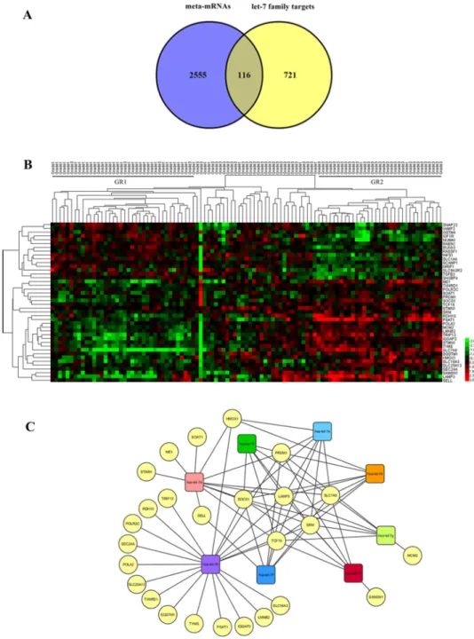 Fig 4. In silico analysis of the common genes between validated meta-miRNA targets and meta- meta-mRNAs