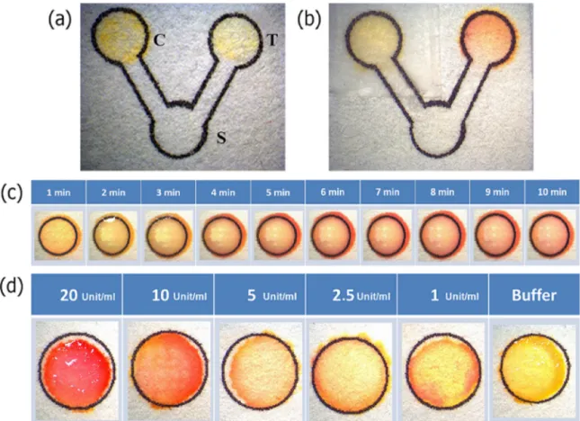 Fig. 6. (a) V-shaped rapid urease test system fabricated by the inkjet printing technique