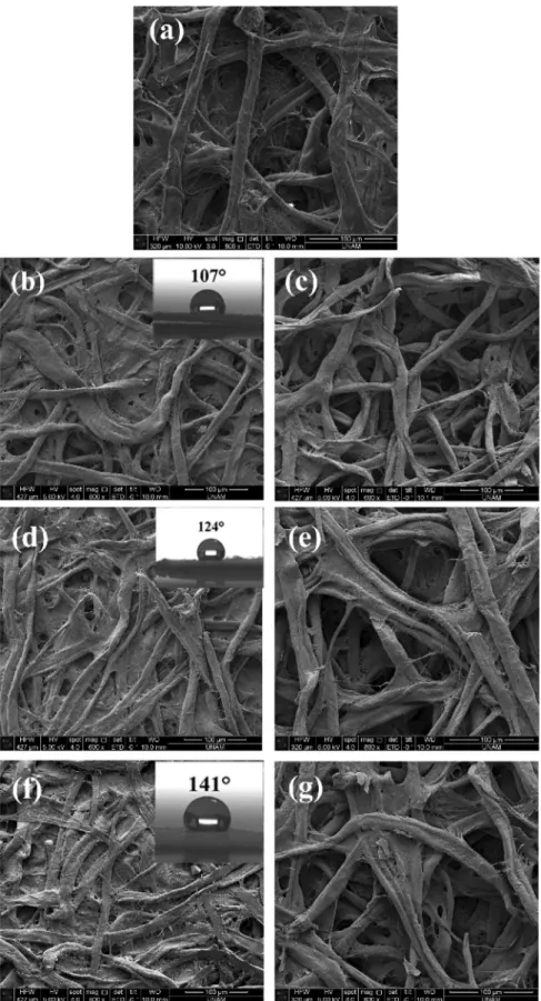 Table 3 shows the XPS results after the hydrolysis of the treatedFig. 2. SEM images of (a) unmodiﬁed ﬁlter paper