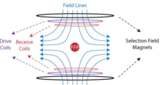 Figure 2.1: The selection field creates a FFP in space. Only those nanoparticles that are in the vicinity of the FFP respond to the applied drive field