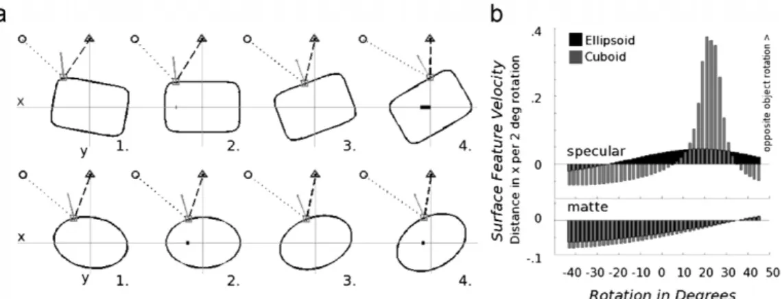Fig. 2. Analysis of specular ﬂow. A surface f(x,y), reﬂecting a far-ﬁeld illumination environment viewed orthographically to produce an image I(x,y), undergoing a rigid body transformation T
