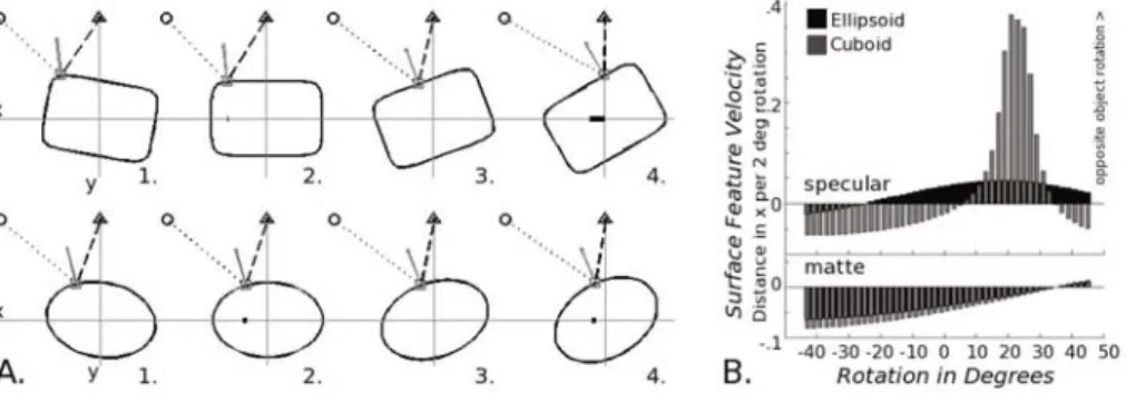 Fig. 1. Specular Velocity and Curvature Variability. A. Cross-sections through 3D scenes