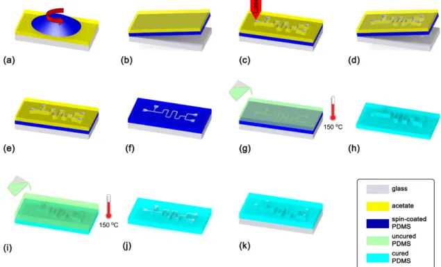Figure 1.   Rapid fabrication process flow for PDMS microfluidic devices. (a) PDMS is spin-coated on a 150 μm thick acetate sheet