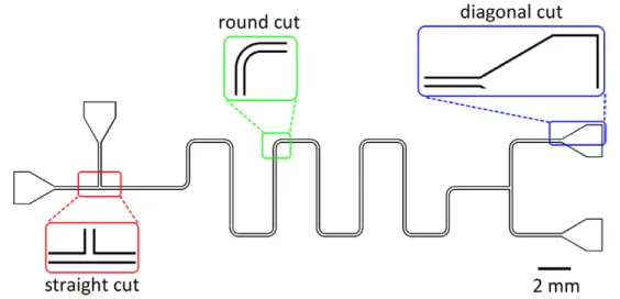 Figure  5 shows the SEM images of these three regions  of interest in the FM, MM, and chip