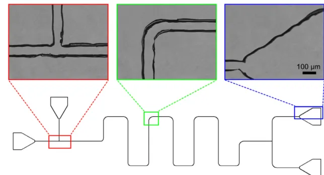 Figure 7.   Optical microscope images of the selected regions of the chip with the smallest possible channel width, 120  μm