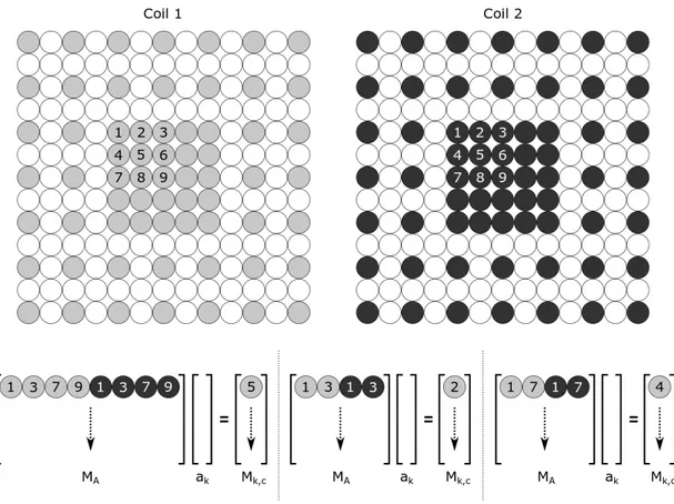 Figure 2.4: GRAPPA method. Shaded circles correspond to acquired samples;