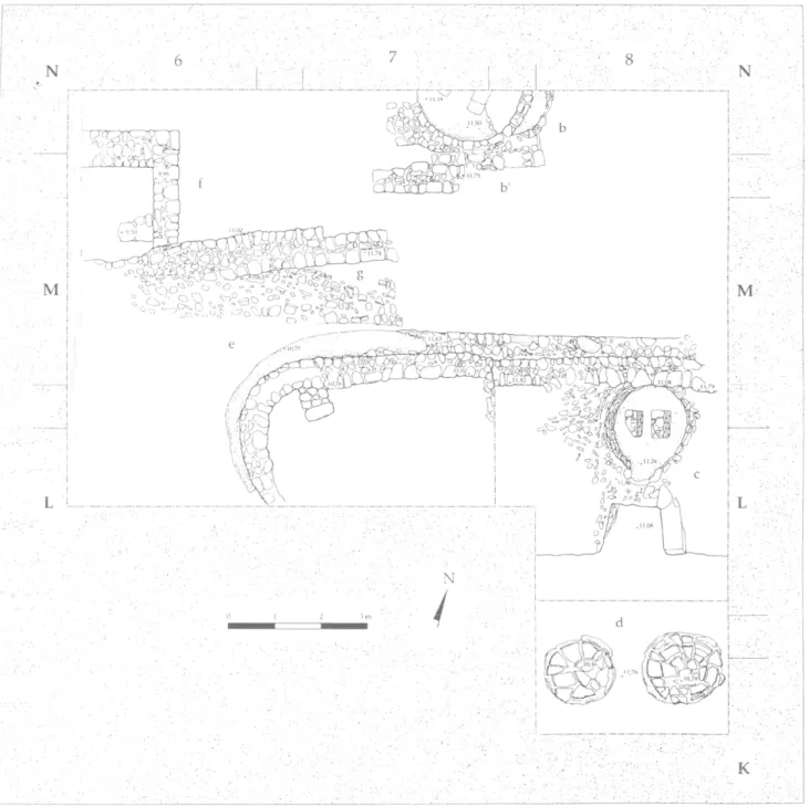 Fig.  9 :  Plan de l'ensemble de la fouille 2000 (J.-F. Bernard). 