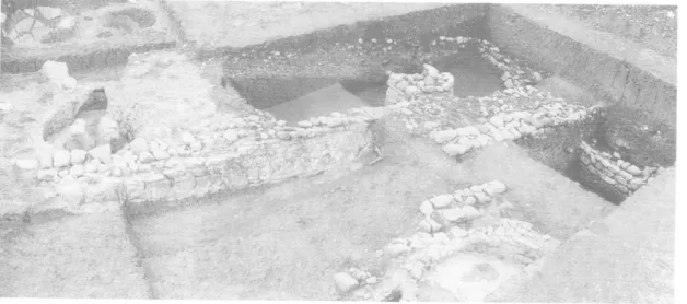 Fig. 10 :  Montage photographique de l'ensemble de la fouille (S. Sever). 