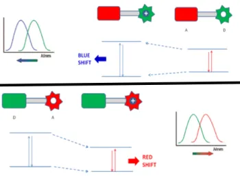 Figure 4. Band gap changes on interactions with cations of ICT type sensors. 