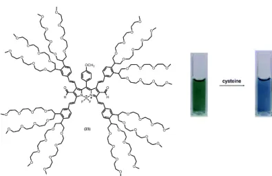 Figure 25. The visual representation of tetra styryl BODIPY dye in PBS buffer pH 7.4 in the  absence and presence of L-cysteine
