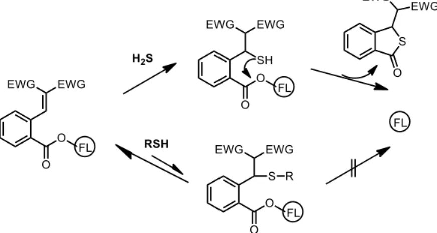 Figure 43. H 2 S detection based on nucleophilic attack on an activated electrophile followed  by attack on an ester-bound fluorophore
