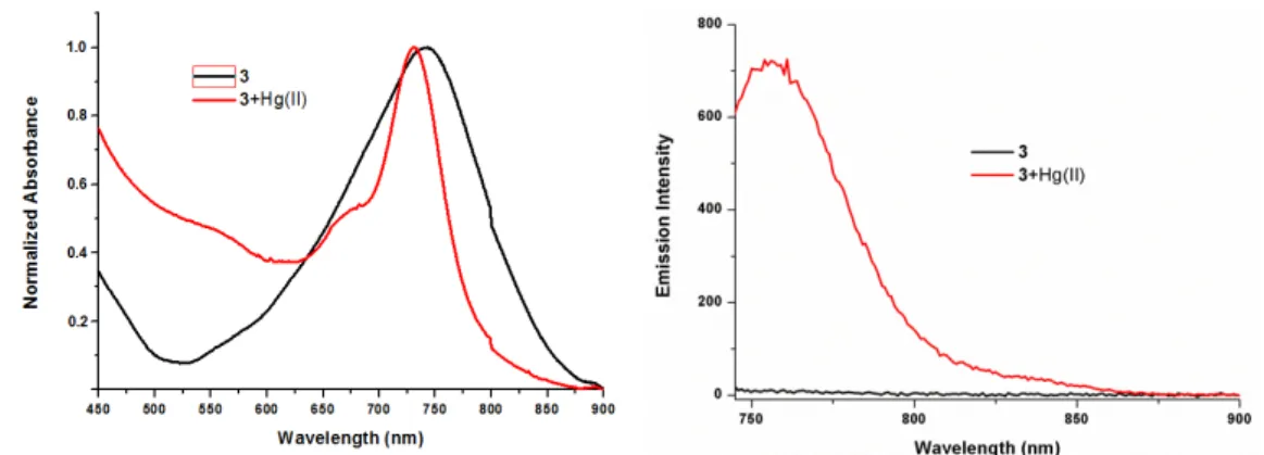 Figure 66. The electronic absorption and emission spectra of 3 (1.9 µM)  in presence of  excess Hg(II) in 10 mM HEPES:CH 3 CN (50:50, v/v, pH=7.20, 25 °C)