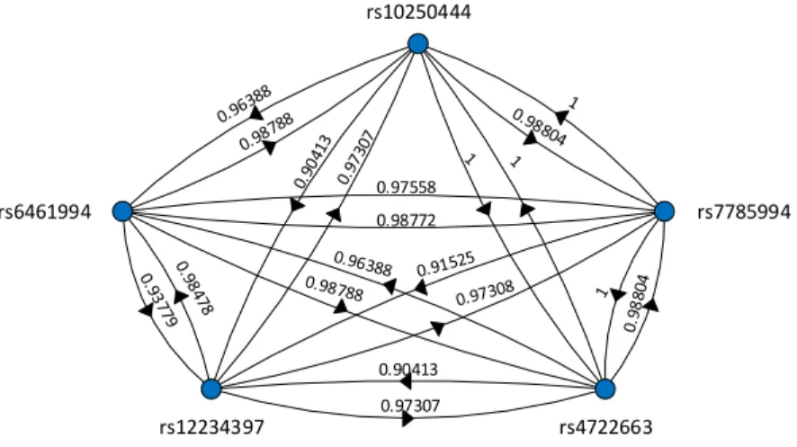 Figure 3.1: An example SNP network, containing of 5 nodes (i.e. SNPs). The SNP network is a directed graph, where the edges resemble the correlation