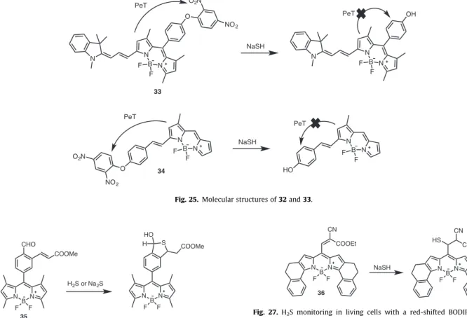 Fig. 25. Molecular structures of 32 and 33.