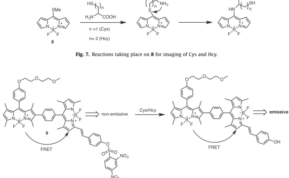 Fig. 7. Reactions taking place on 8 for imaging of Cys and Hcy.