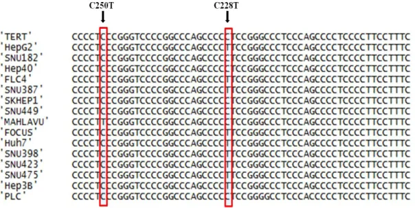 Figure 3.1 TERT sequencing alignment in HCC cell lines. 
