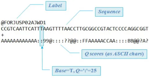 Figure 2.3: FASTQ Read example [20]. There are always four lines per read.