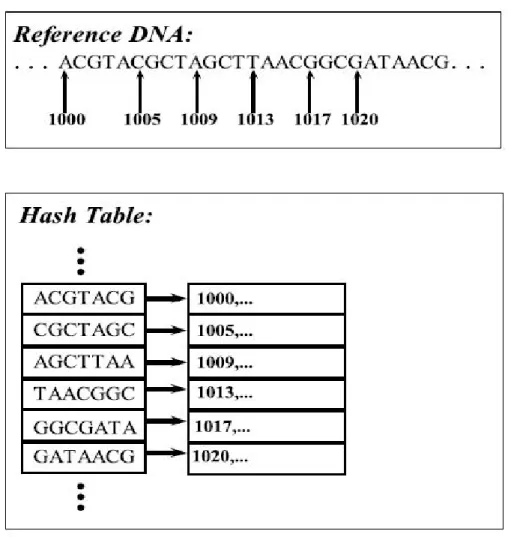 Figure 2.6: Example of hash table for sample data. First, pick k-mer size, and then build lookup for each k-mer as key and their location as value for hash table.