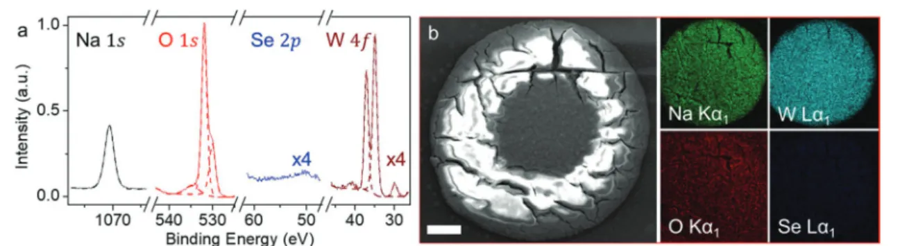 Fig. 3 E ﬀects of Se exposure on Na 2 WO 4 . (a) High resolution XPS spectra of the Na 2 WO 4 liquid droplet obtained after 20 minutes of exposure to Se