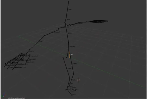 Figure 3.1: The rigging base skeleton.